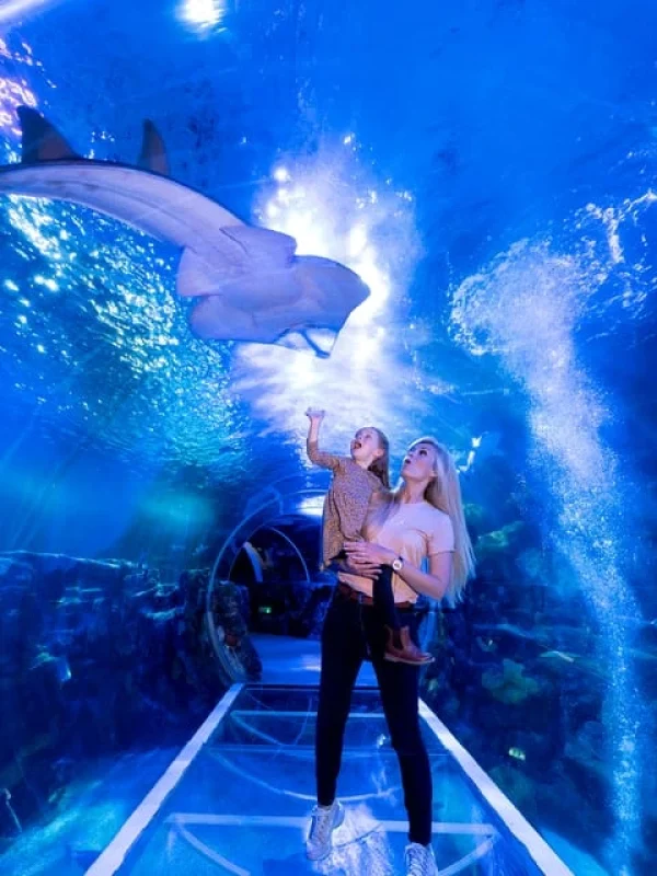 National Sea Life Centre Entrance Ticket